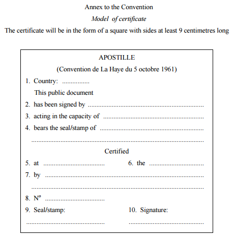 Artigo-Convenção de Haia