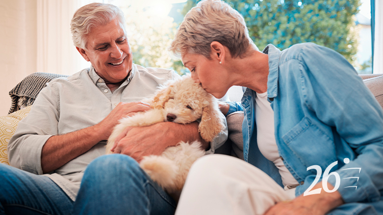 Companheirismo em quatro patas: explore os desafios e vantagens da guarda compartilhada dos pets